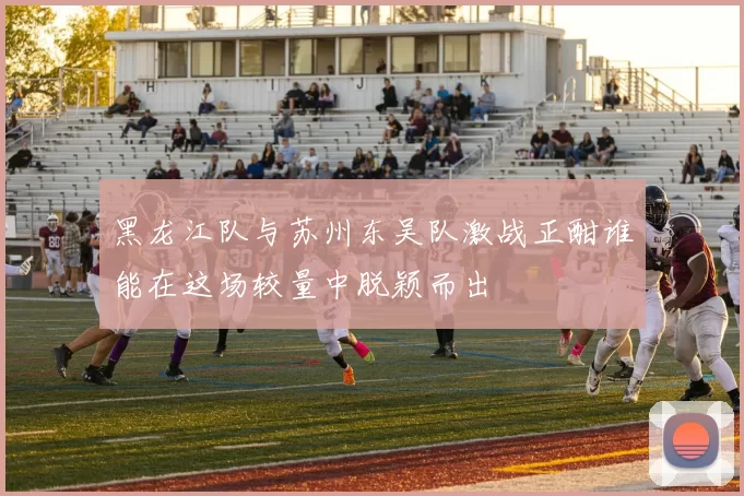 黑龙江队与苏州东吴队激战正酣谁能在这场较量中脱颖而出