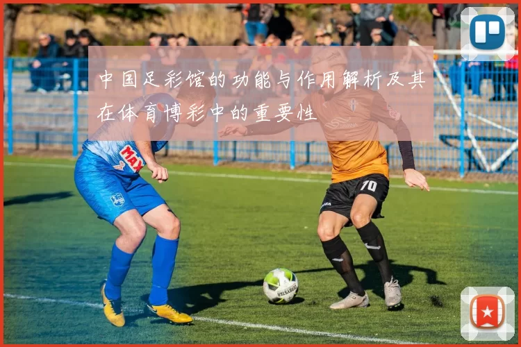 中国足彩馆的功能与作用解析及其在体育博彩中的重要性