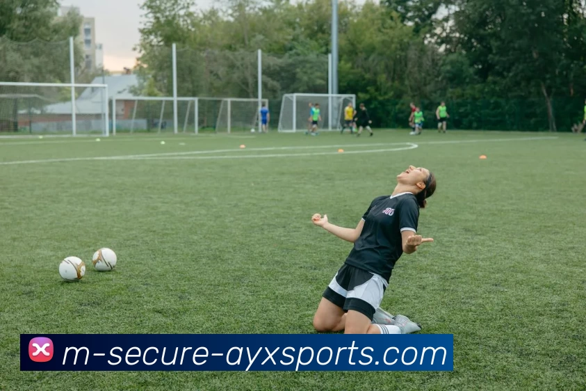 爱游戏平台生态图