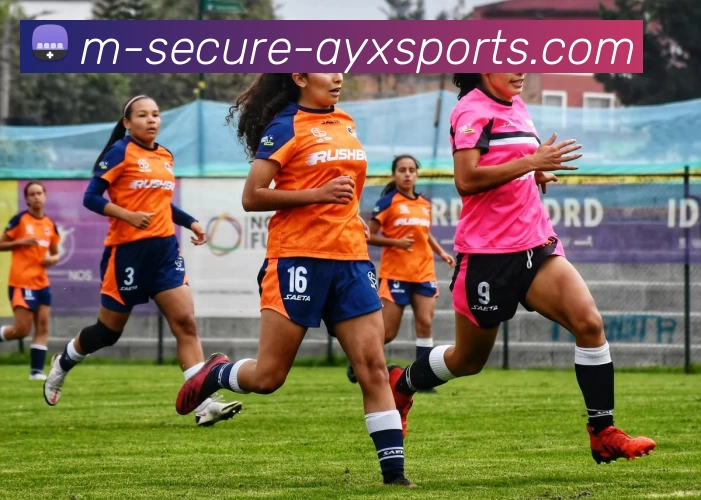 爱游戏APP 封面图